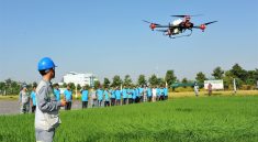 From Rice Fields to Reels: The Digital Reinvention of Vietnamese Festivals