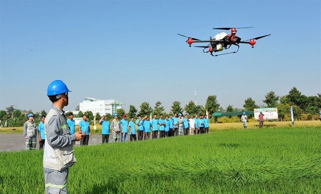 From Rice Fields to Reels: The Digital Reinvention of Vietnamese Festivals