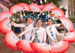 Vietnam Culture and Diaspora: Politics, History, and Community